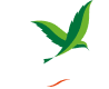 A stylised green bird in flight is above the white text "Center Parcs" with an orange curved line beneath. The background is light grey.