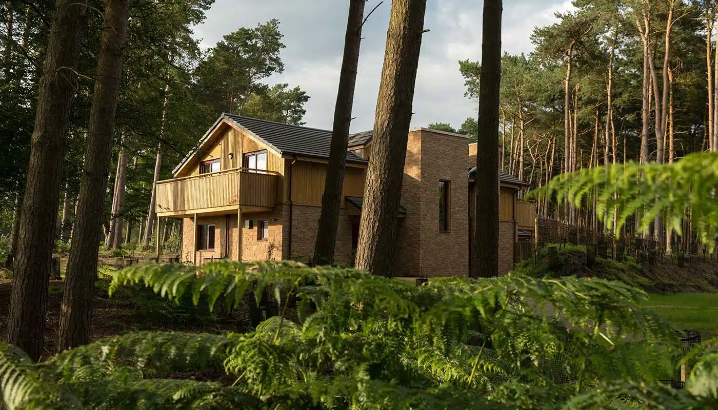A modern wooden and brick house is nestled among tall pine trees and lush green ferns in a forest setting, with natural light filtering through the trees.