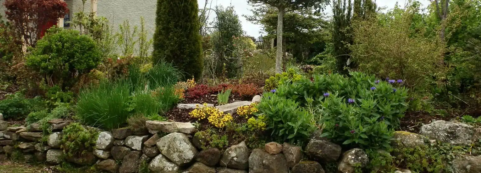 A landscaped garden with a stone wall, various green plants, shrubs, and small flowering plants in bloom. Tall trees and part of a building are visible in the background.