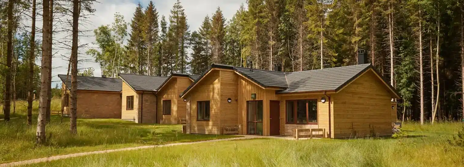 Three modern wooden cabins with dark roofs are surrounded by green grass and tall pine trees, set in a peaceful forest clearing under a partly cloudy sky.