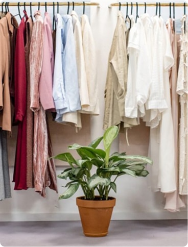 A potted green plant sits on the floor in front of a clothes rail filled with neatly hung shirts, blouses, and dresses in shades of red, pink, blue, beige, and white.