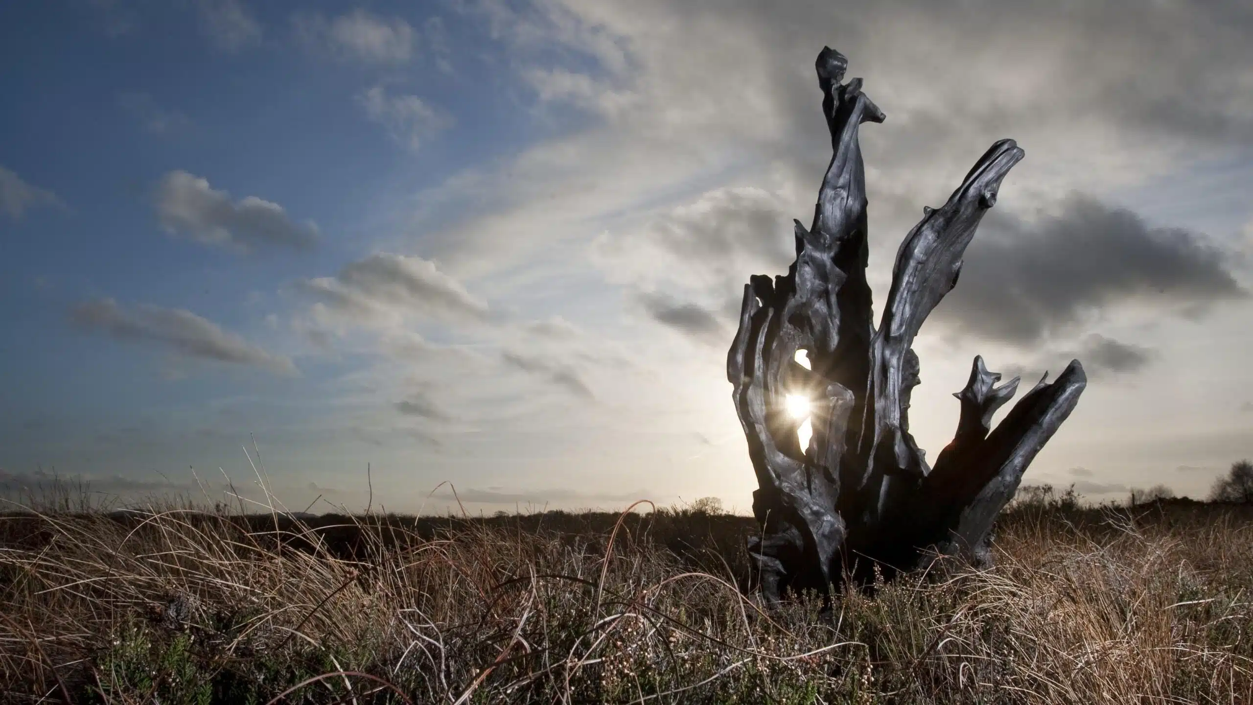 A dramatic, twisted wooden sculpture rises from tall grass in a field at sunset, with sunlight shining through its branches against a cloudy sky.