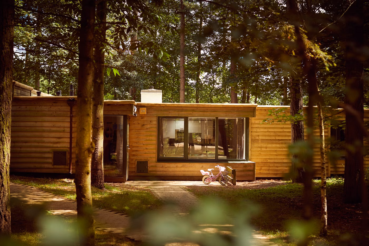 A small wooden cabin with large windows sits among tall trees in a forest. A pink children’s bicycle is parked outside on a paved path. Sunlight filters through the foliage.
