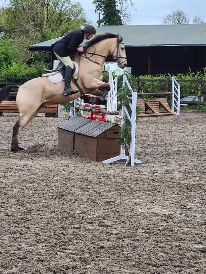 A rider in a helmet and jacket jumps a light brown horse over an obstacle in an outdoor equestrian arena, with trees and a stable in the background.