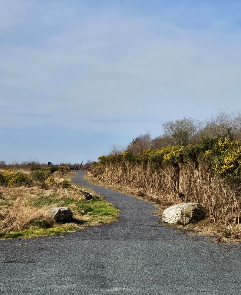 A narrow paved path curves gently uphill between dry grass and shrubs with yellow flowers, under a partly cloudy blue sky. Large rocks sit near the path’s edge.