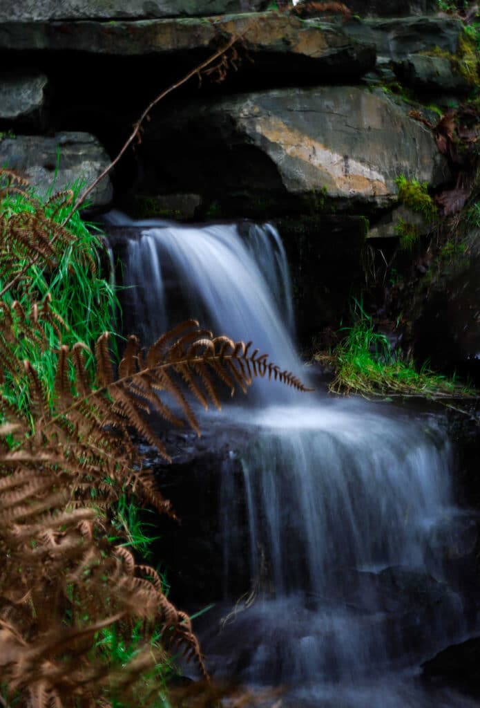 A small waterfall flows over dark rocks, surrounded by green grass and brown bracken in a lush, natural setting. The water appears silky due to a long exposure photograph.