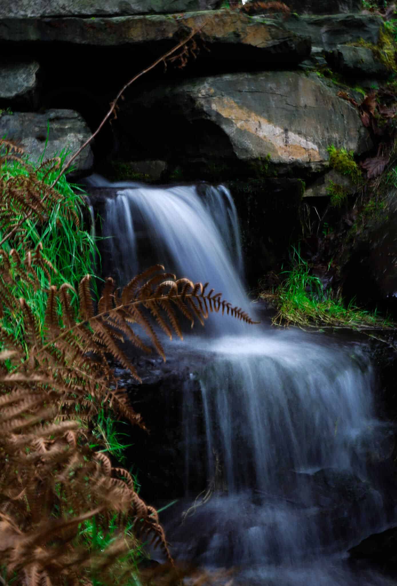 A small waterfall flows over dark rocks, surrounded by green grass and brown bracken in a lush, natural setting. The water appears silky due to a long exposure photograph.