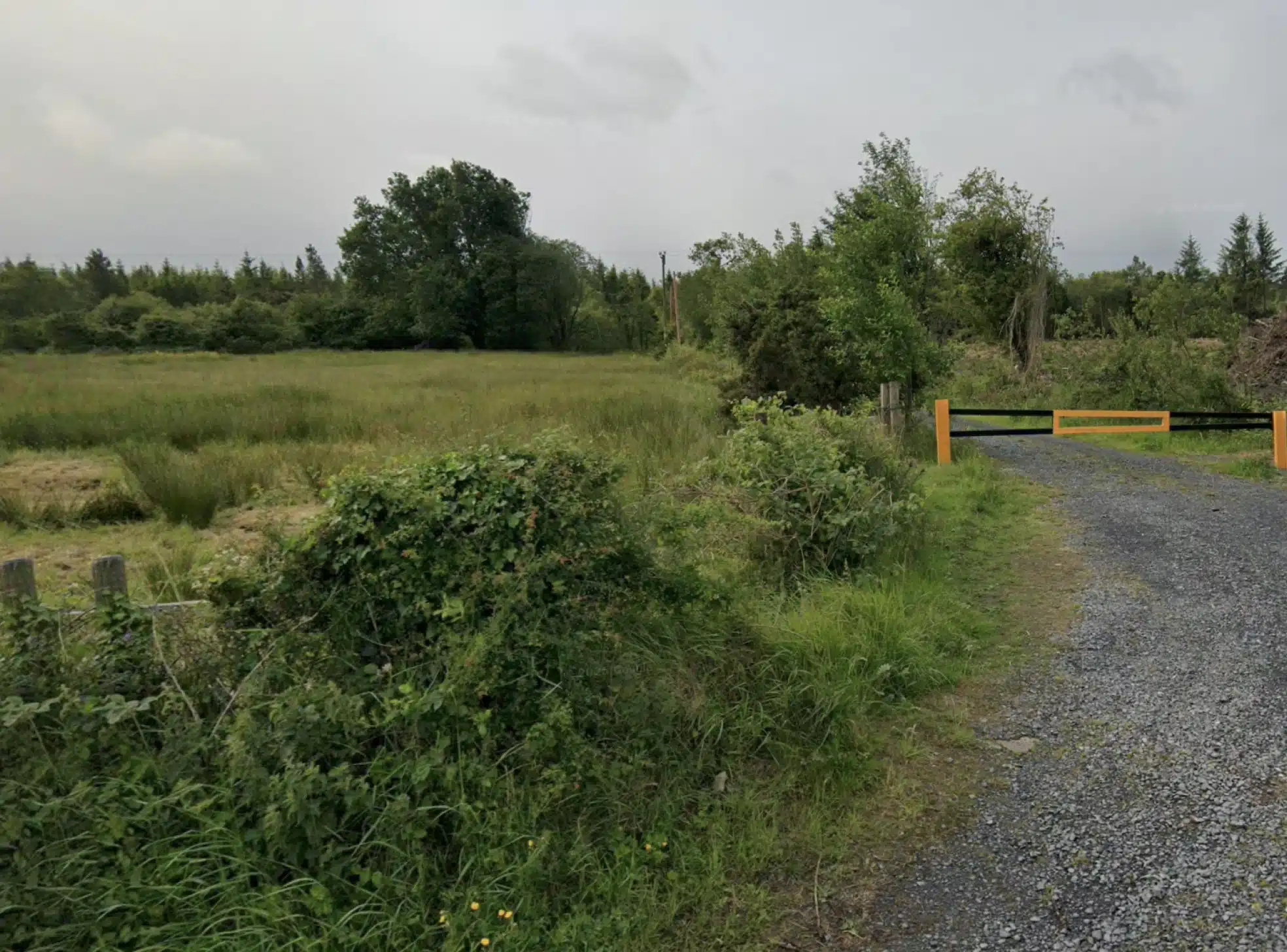 A gravel path bordered by greenery leads to a yellow gate, next to a grassy field with trees and bushes under an overcast sky.
