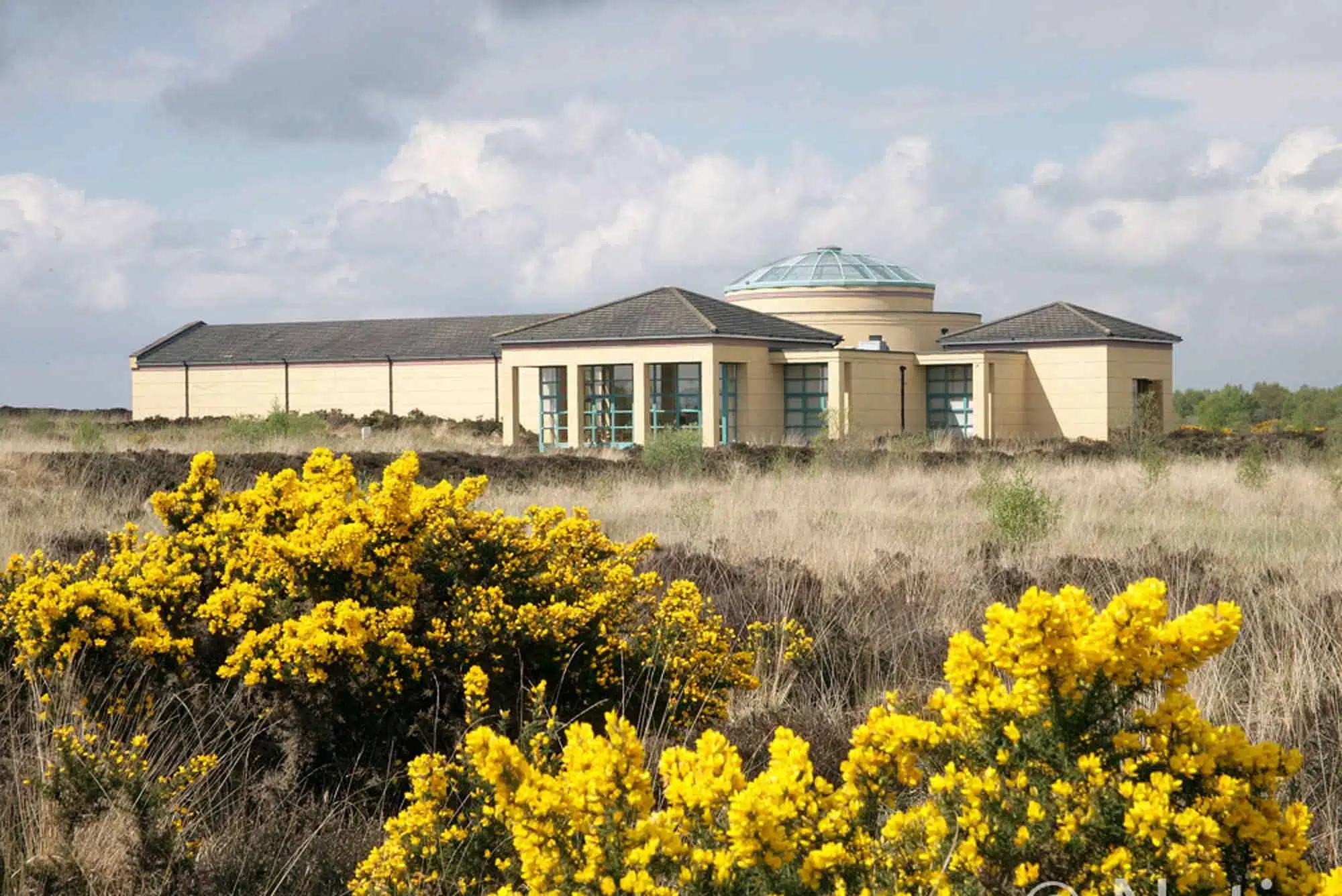 A modern beige building with a domed glass roof stands in a field with tall grass and vibrant yellow flowering shrubs under a partly cloudy sky.