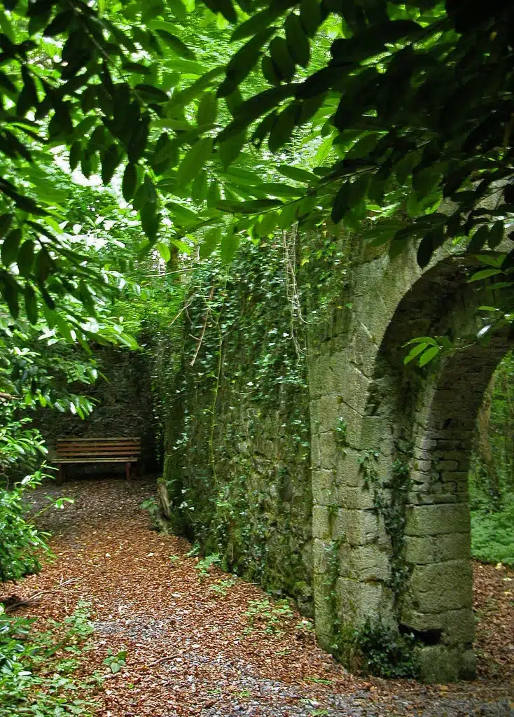 A stone archway and wall covered in green vines stand beside a leafy path, leading to a wooden bench in a quiet, lush garden corner.