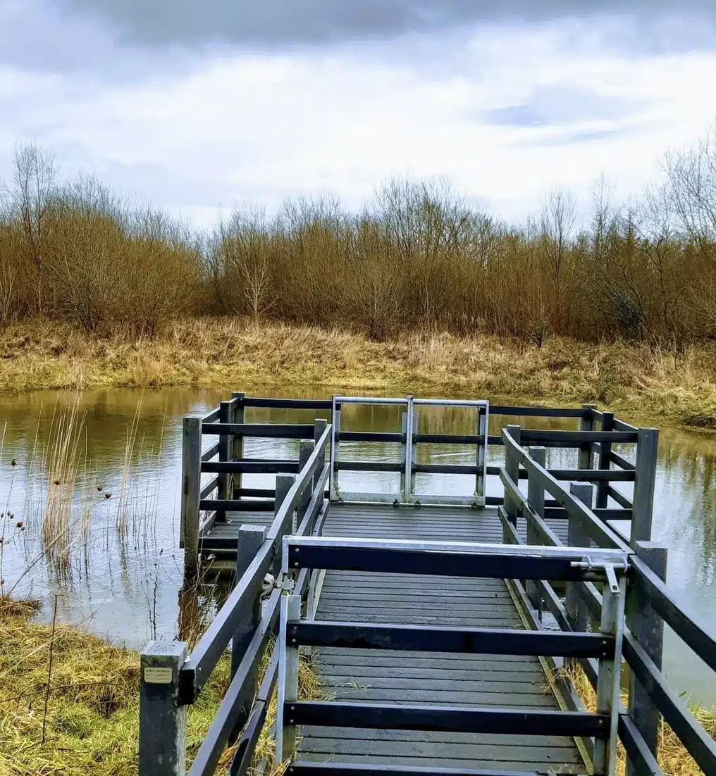 A wooden observation platform with black railings extends over a small pond, surrounded by dry grass and leafless trees under a cloudy sky.