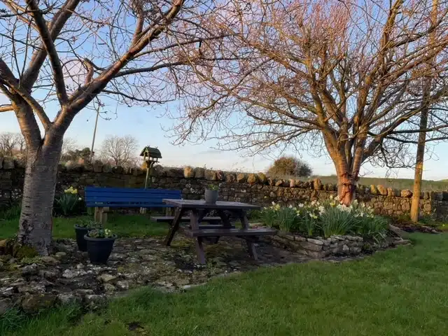 A peaceful garden scene with two trees, a wooden bench, a picnic table, and potted plants on a stone patio, bordered by a stone wall and grassy lawn under a clear sky.
