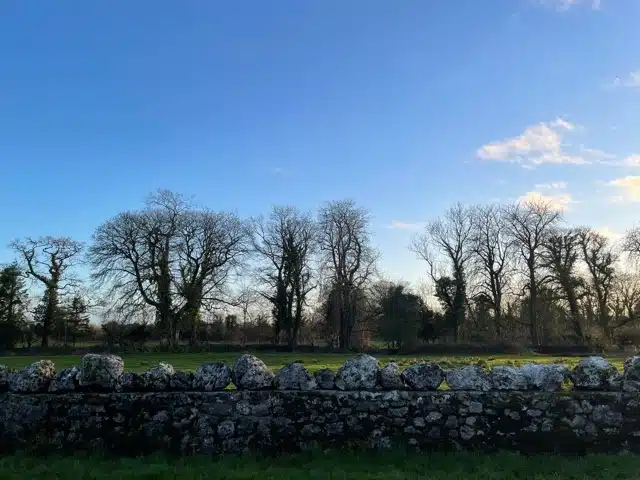 A row of leafless trees stands behind an old stone wall on a grassy field, under a clear blue sky with a few scattered clouds.