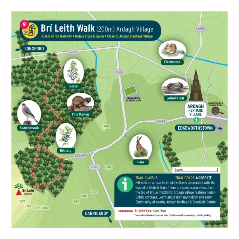 Map illustration of the Brí Leith Walk in Ardagh Village, showing a trail through forest and countryside, wildlife icons (hare, pine marten, gorse, sparrowhawk, bilberry, fieldmouse, Leisler’s bat), roads, and nearby towns.
