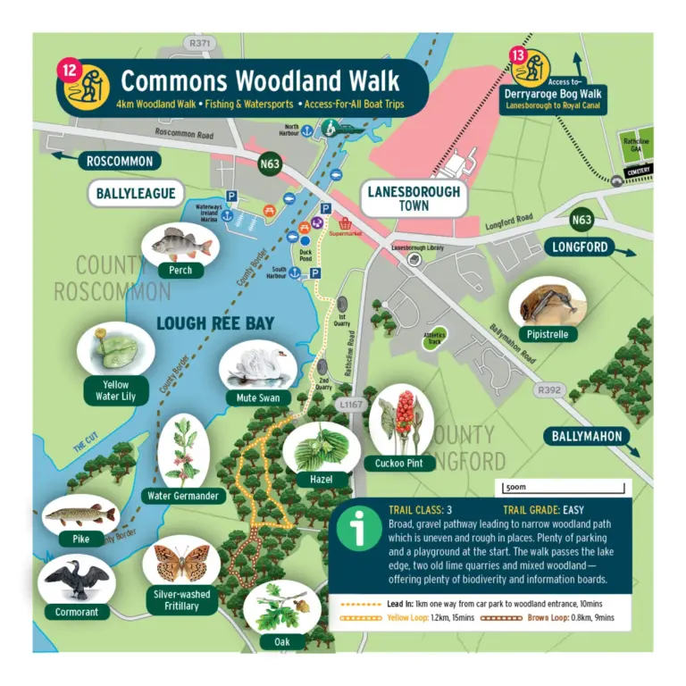 Map of the Commons Woodland Walk, showing a 4 km trail around Lough Ree Bay with illustrated animals and plants to spot, trail information, accessible paths, and surrounding areas such as Lanesborough and Ballyleague.