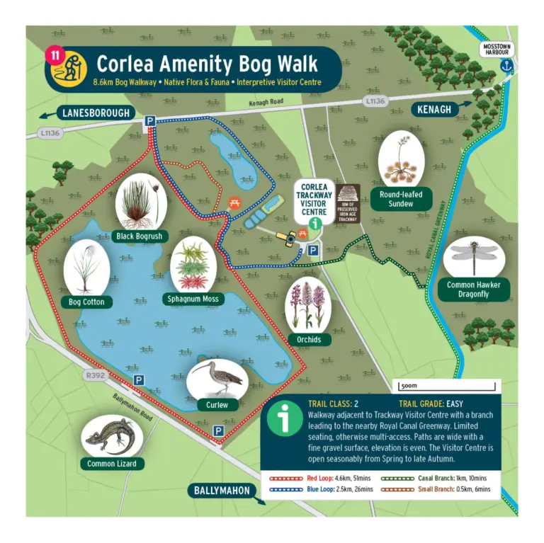 Illustrated map of Corlea Amenity Bog Walk showing trails, wildlife, visitor centre, and nearby towns. Features icons for plants and animals seen on the walk, map key, and trail classifications. Paths loop around ponds and boardwalks.