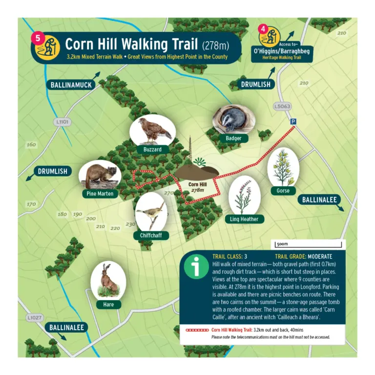 Map of the Corn Hill Walking Trail, highlighting a 3.2 km mixed terrain route with nature illustrations—buzzard, badger, pine marten—and key features, including the highest point at 278m and trail information for visitors.