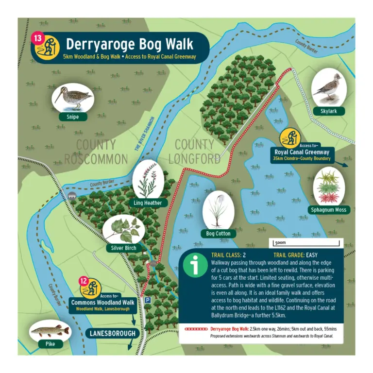A detailed map of Derryaroge Bog Walk showing woodland trail, Royal Canal Greenway access, key points like Silver Birch, Ling Heather, Sphagnum Moss, and illustrations of birds, plants, and trail details with symbols and text.