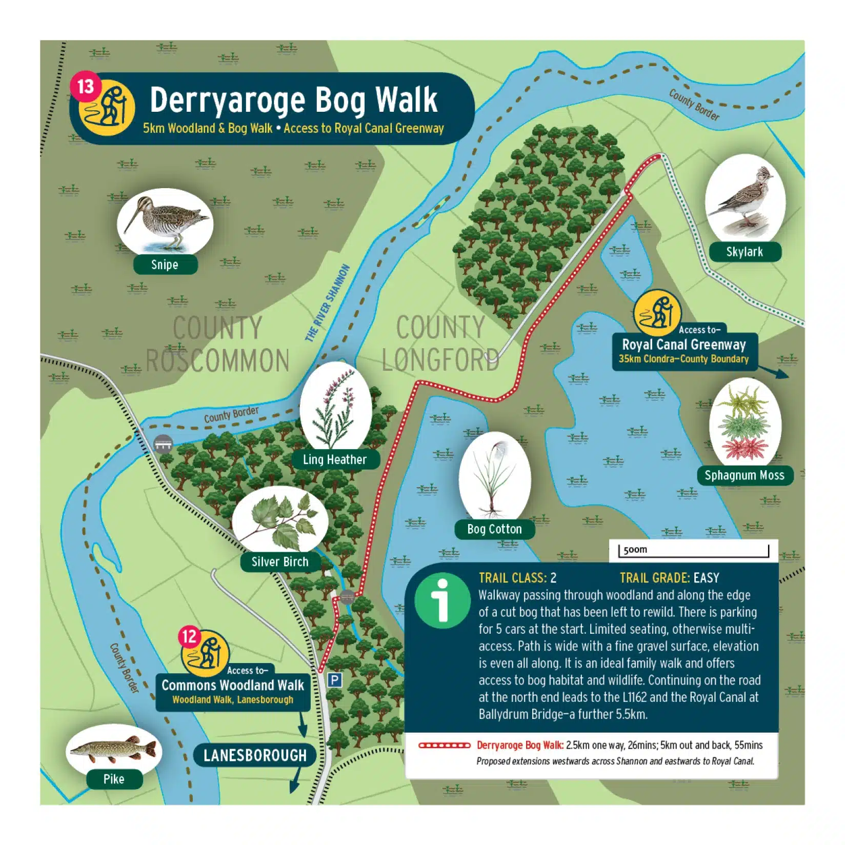 A detailed map of Derryaroge Bog Walk showing woodland trail, Royal Canal Greenway access, key points like Silver Birch, Ling Heather, Sphagnum Moss, and illustrations of birds, plants, and trail details with symbols and text.