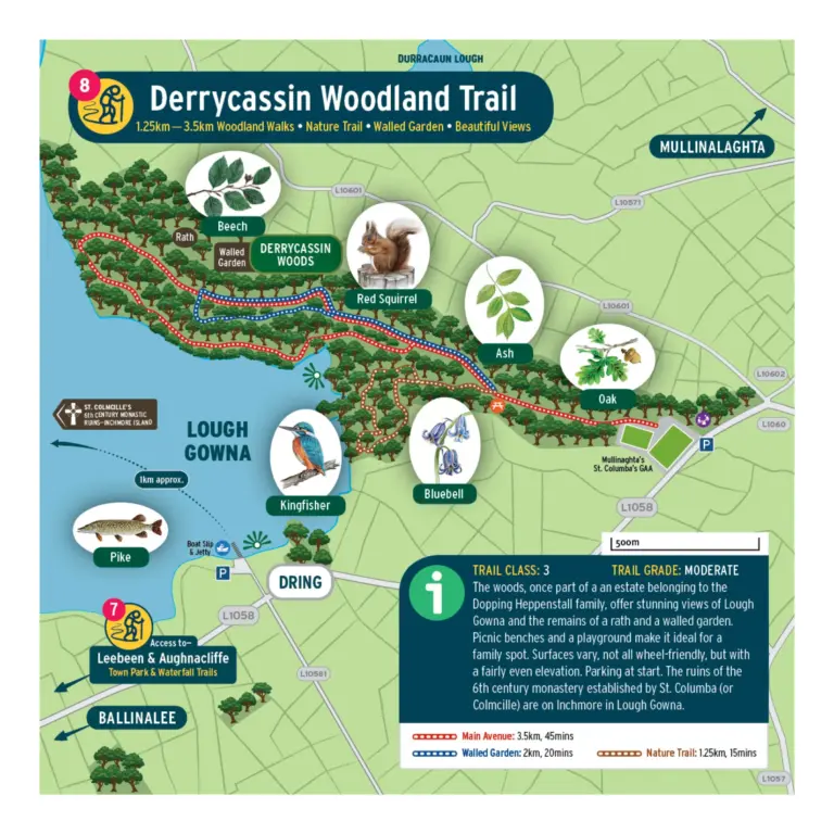 Map of Derrycassin Woodland Trail showing the route through forest, points of interest, local wildlife (red squirrel, pike, kingfisher), tree types (ash, oak, holly), and key locations near Lough Gowna. Trail info included.
