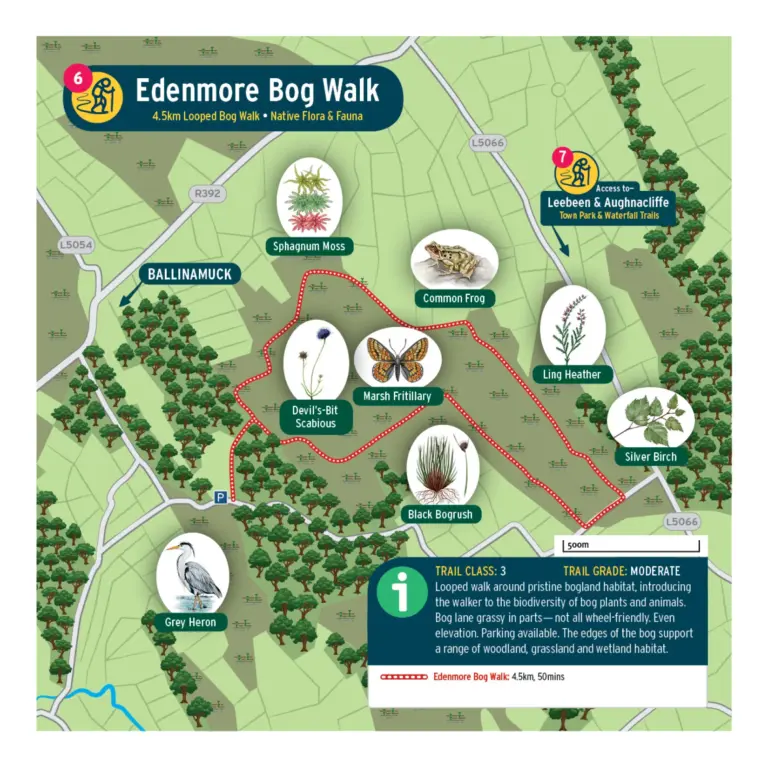 Map of Edenmore Bog Walk, showing a 4.5km looped trail near Ballinamuck with illustrated wildlife such as sphagnum moss, common frog, emperor moth, silver birch, and trail information.