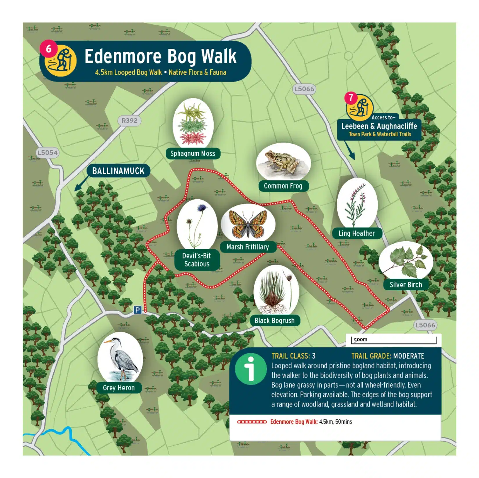 Map of Edenmore Bog Walk, showing a 4.5km looped trail near Ballinamuck with illustrated wildlife such as sphagnum moss, common frog, emperor moth, silver birch, and trail information.