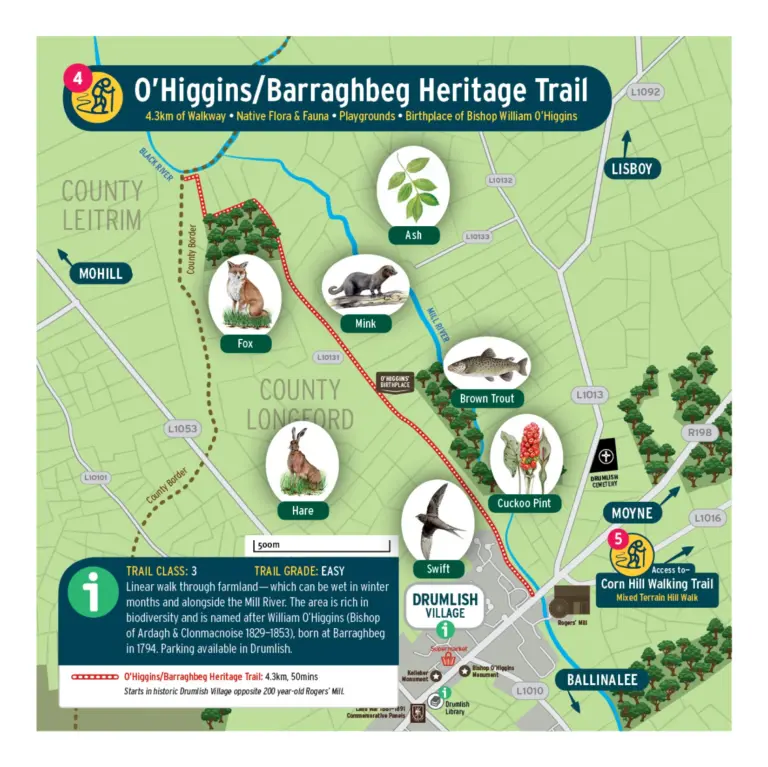 Map of O’Higgins/Barraghbeg Heritage Trail showing a 4.3 km walking route, local wildlife (fox, mink, brown trout, cuckoo, swift), trees (ash), trailheads, playgrounds, and nearby towns in County Leitrim and County Longford.