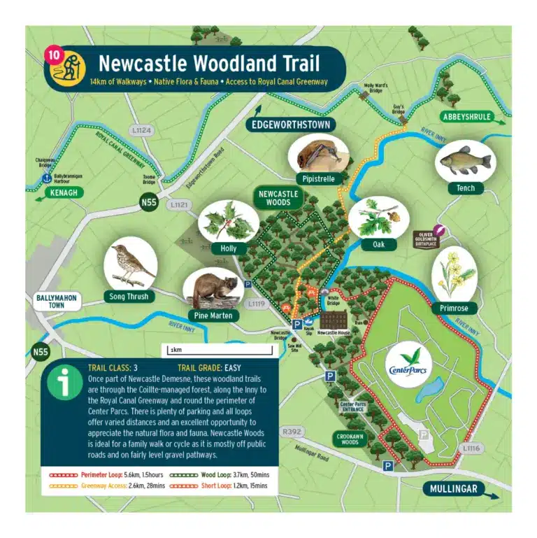 Illustrated map of the Newcastle Woodland Trail showing a looped walking route, local wildlife (such as squirrel and song thrush), trees, flowers, and nearby locations, with trail details and amenities highlighted.
