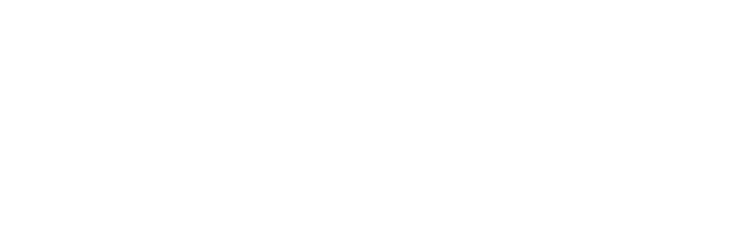 White text on a light grey background reads "Visit Longford," with "Longford" in a bold, stylised font and "Visit" in smaller, uppercase letters to the left.