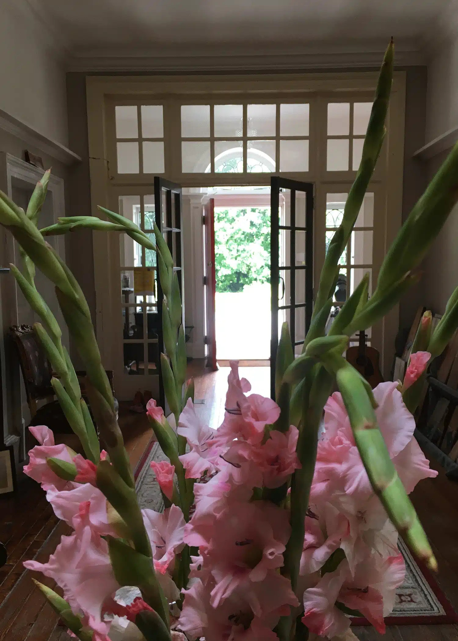 A bouquet of pink gladiolus flowers in the foreground with an open doorway and large windows revealing bright greenery outside in the background of a corridor.