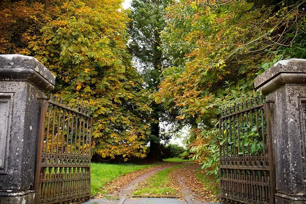 An open wrought iron gate with stone pillars leads to a winding dirt path surrounded by lush green grass and tall trees with green and golden autumn leaves.