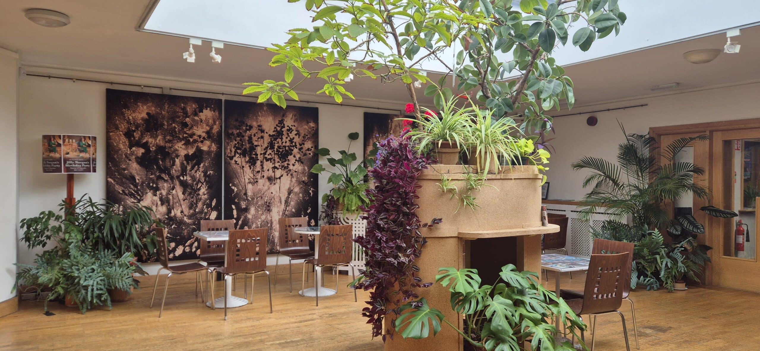 A bright room with wooden floors, several tables and chairs, and many green plants. Large leafy plants surround and top a central structure. Sunlight streams in from a skylight above.