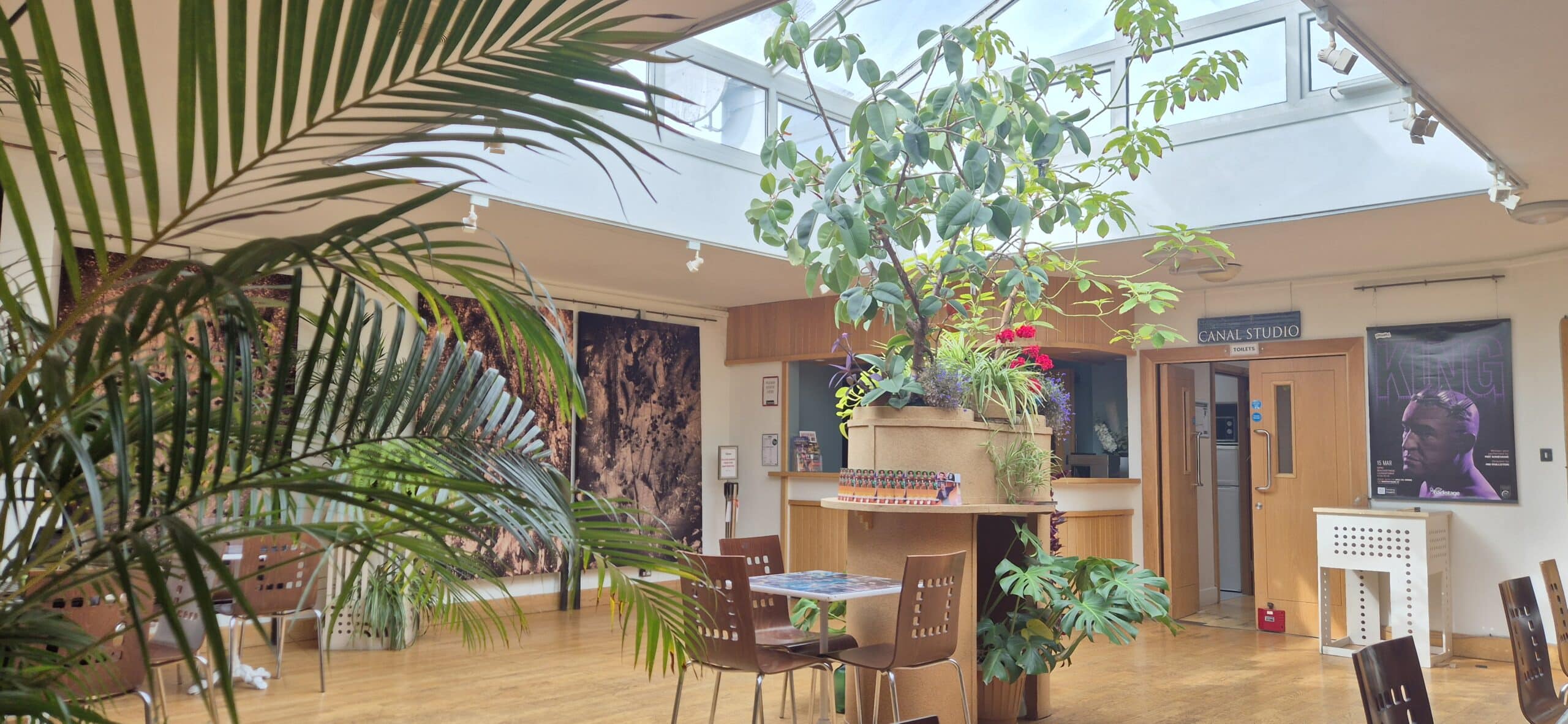 A bright lounge area with wooden chairs and tables, large indoor plants, art posters on the walls, and a skylight above letting in natural light. A sign reads "CANAL STUDIO" near a wooden door.