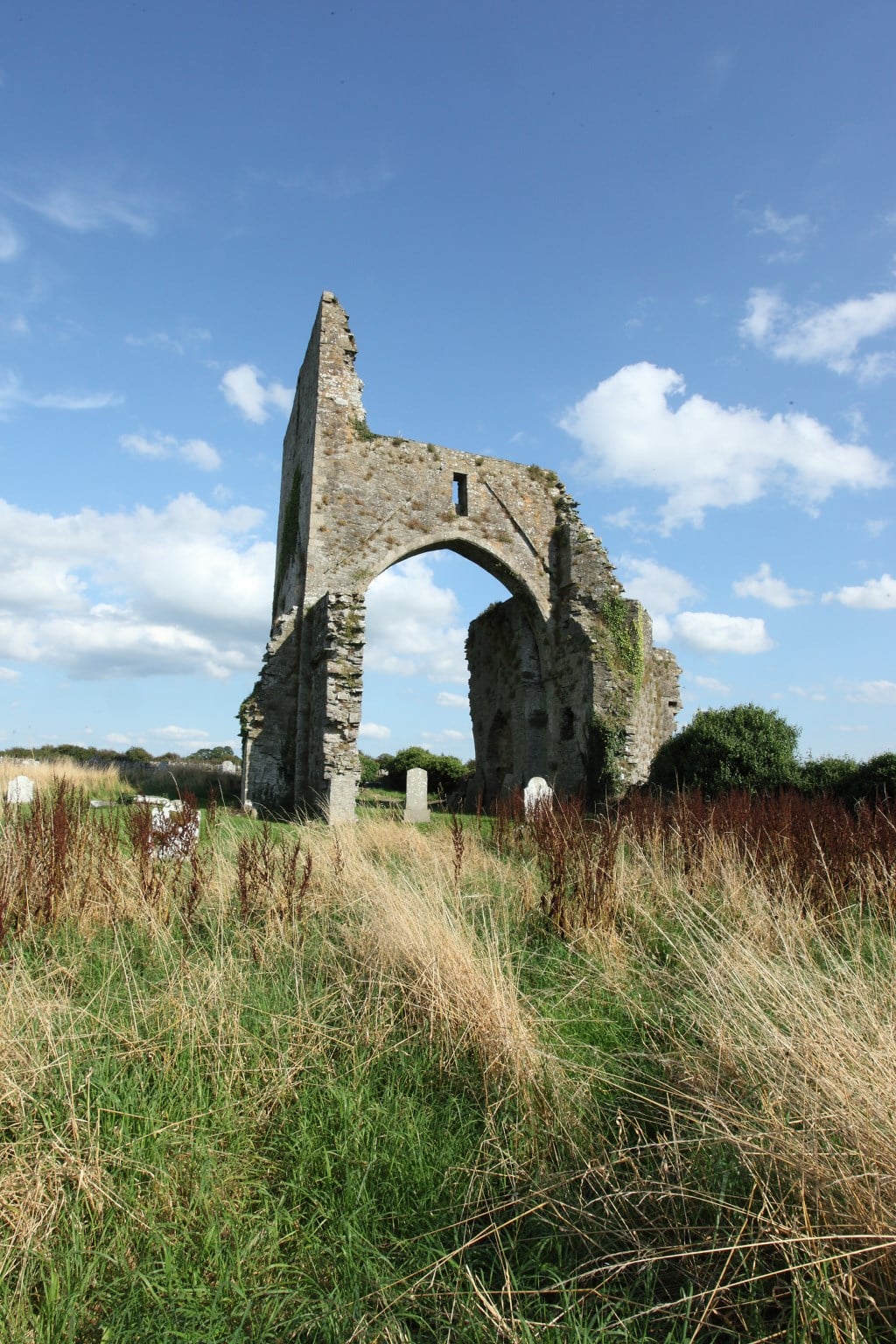 Ruins of an old stone archway stand in a grassy field under a bright blue sky with scattered clouds, surrounded by wild vegetation and distant trees.