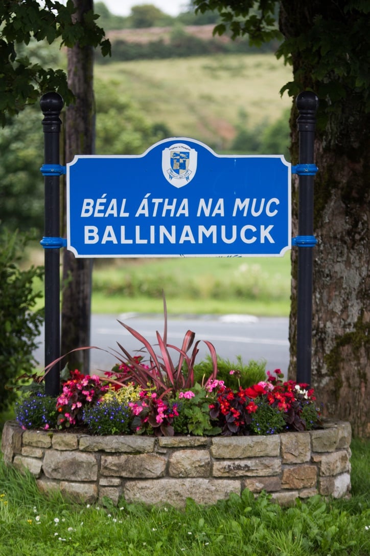 Blue Ballinamuck town sign with Irish translation, mounted on a post and surrounded by flowers and a stone planter, with trees and greenery in the background.