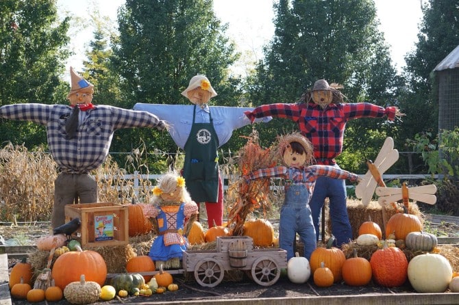 Scarecrow-set-up__FillWzY3MCw0NDZd
