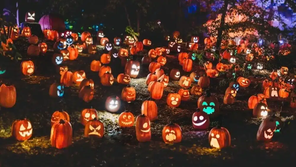 where-to-celebrate-halloween-in-us-from-festival-of-dead-to-manhattan-parade-and-more-7acfc0d9fca1ab85