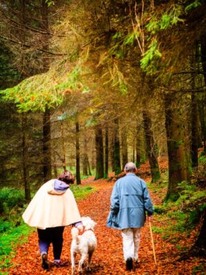 An elderly couple walk with a dog along a leaf-covered path through a lush, green forest. The man uses a walking stick, and both are dressed in warm clothing, surrounded by tall trees and autumn foliage.